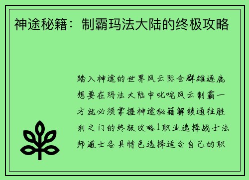 神途秘籍：制霸玛法大陆的终极攻略